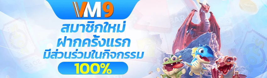VM9 เข้าสู่ระบบ ล็อกอินมือถือ คอม ง่ายรวดเร็ว