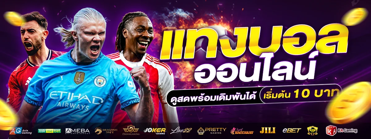 TG456 เว็บตรง ทางเข้าสล็อต บาคาร่า แทงบอล ครบทุกค่าย